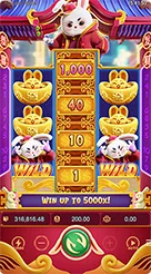 yrr · Fortune Rabbit
